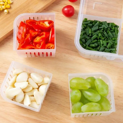 4-Grid Food Storage Box with Lid & Drain | Easy Clean Fresh Keeper for Fruits & Vegetables