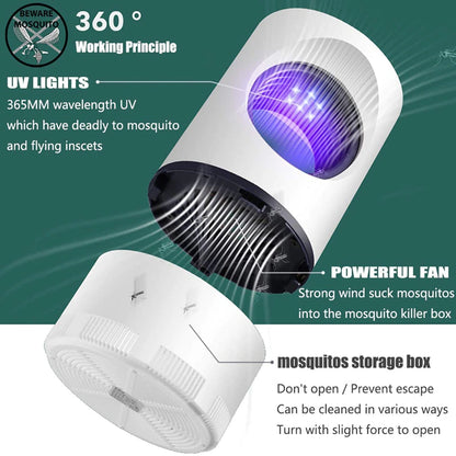 Get Rid of  Dengue Mosquitoes Safely and Efficiently with This Lamp